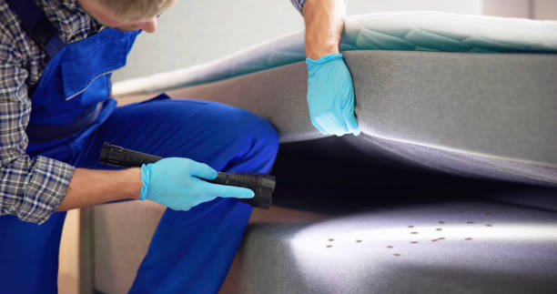 Best Exterminator Services  in Cannon Beach, OR