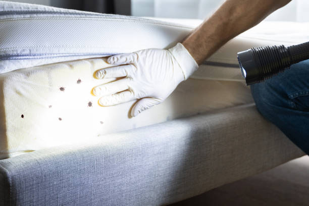 Pest Control Cost in Cannon Beach, OR