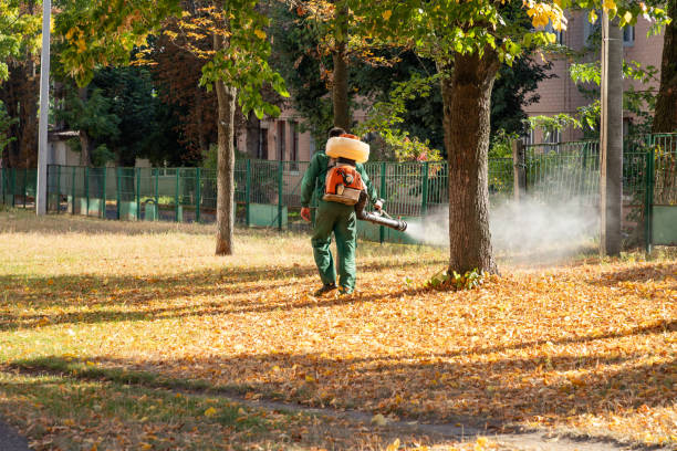 Best Best Pest Control Companies  in Cannon Beach, OR