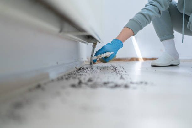Best Mosquito Control Services  in Cannon Beach, OR